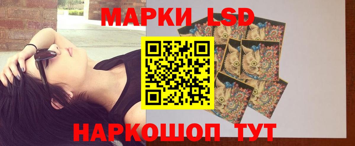 LSD-25 экстази  Вход с VPN  Новоалександровск  Лсд 25 экстази ecstasy  Лсд 25 экстази кислота 