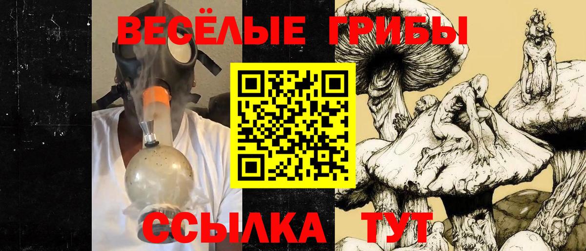 Псилоцибиновые грибы ЛСД Новоалександровск