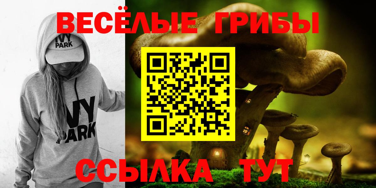 Псилоцибиновые грибы Cubensis  Вход с VPN  Галлюциногенные грибы ЛСД  Новоалександровск 